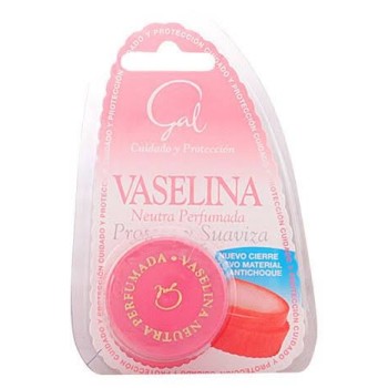 Comprar Gal Vaselina neutra perfumada al Mejor Precio | Quierofarma