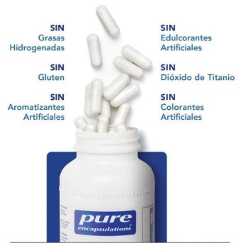 Comprar Pure Encapsulations ONE Omega al Mejor Precio | Quierofarma
