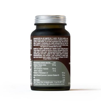 Comprar Mico-Leo (Melena de León) Ifas da Terra al Mejor Precio