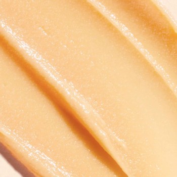 Comprar Nuxe Reve De Miel Balsamo Labial al Mejor Precio | Quierofarma 2