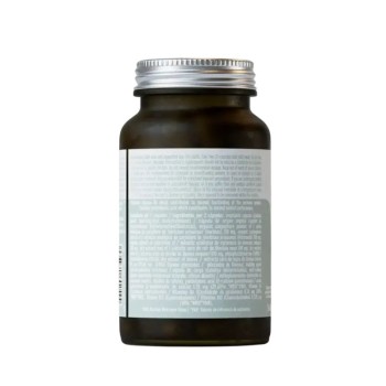 Comprar Hifas-Neuro Hifas da Terra al Mejor Precio | Quierofarma