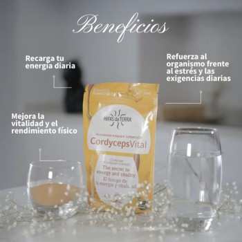 Comprar CordycepsVital Hifas da Terra al Mejor Precio | Quierofarma